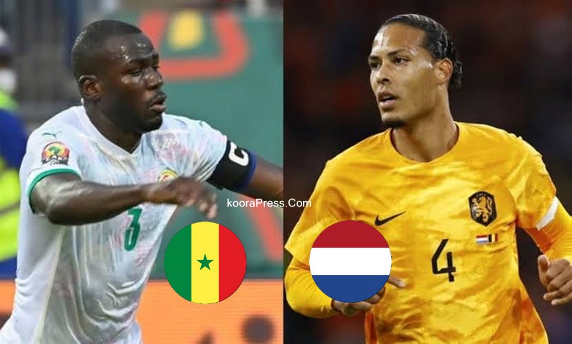 السنغال ضد هولندا